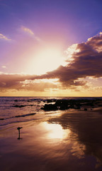Brilliance at the beach
