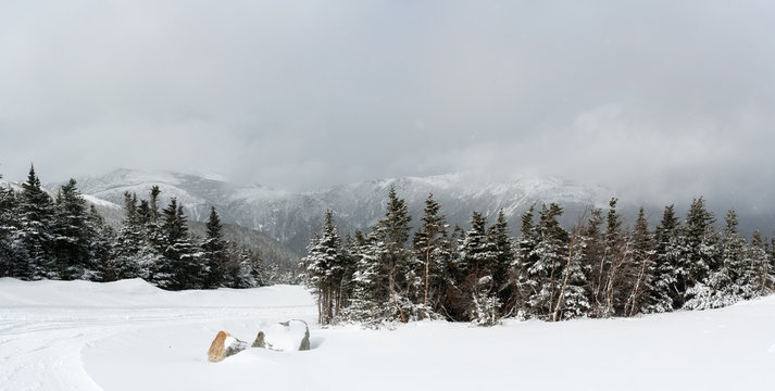 Panorama of snowy tree line at Mount Washington