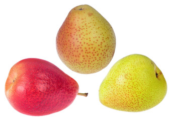 three forelle pears isolated on white