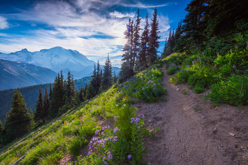 The path between the rocks leads to the mountain top. Sourdough Ridge Trail, Mount Rainier National...