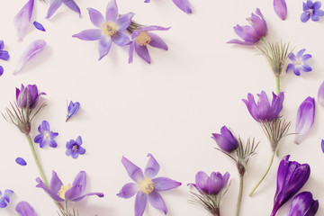 Fototapeta na wymiar Spring violet flowers on a white background