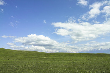 Landscape of the grassland, Xinjiang of China