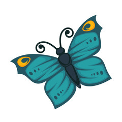 Amazing blue butterfly with yellow pattern and curled antennae