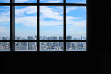 Fototapeta premium 汐留から観た東京の風景