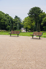 ベンチのある公園の風景