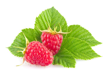 Ripe organic raspberry with green leaf isolated on white