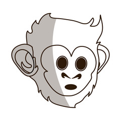 Cute monkey design