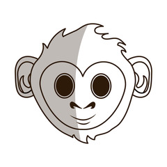 Cute monkey design