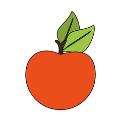 Orange vector illustration