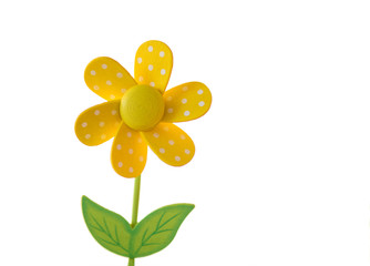 Single yellow wooden daisy isolated on white background