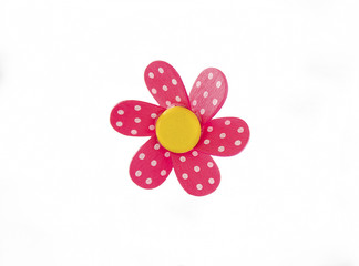 Single pink wooden daisy isolated on white background