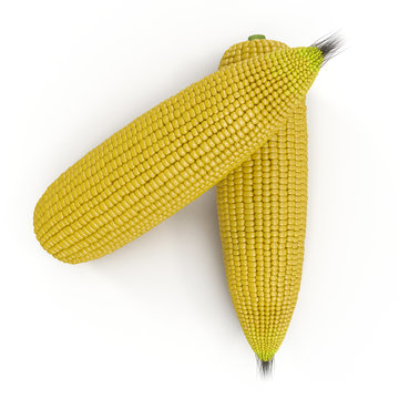 raw corn on a white background, isolated on a white. 3D illustration