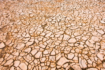 Dry soil in cracks. Concept of climate change