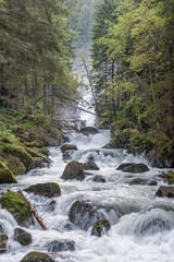 Torrente