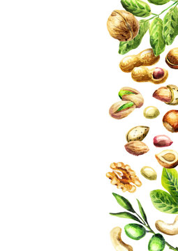 Nuts mix top view. Natural organic food. Watercolor hand-drawn  background