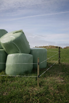 Green Hay Bales 