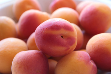 ALBICOCCHE