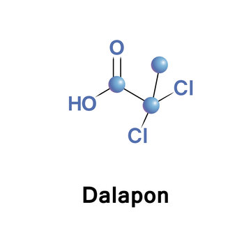 Dalapon is a selective herbicide