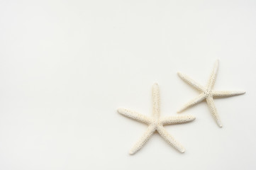 Fototapeta na wymiar starfish isolated on white background