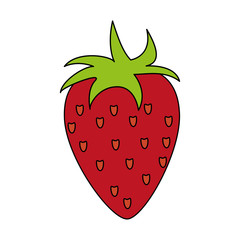 strawberry fruit over white background vector illustration