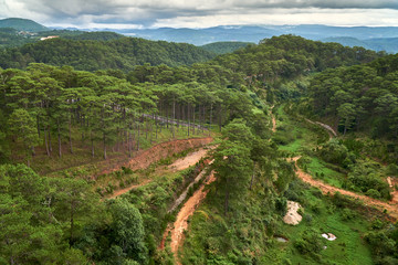 Pine forest - high angle view - from the Dalat Cable Car to the Truc Lam pagoda. Dalat, Vietnam.
