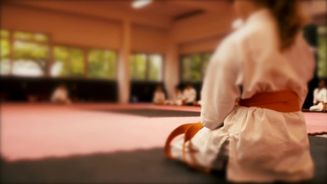 Defocused blur , Karate training - kata 5