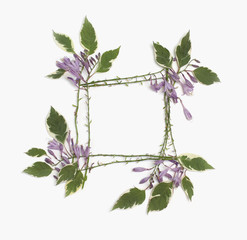 Floral frame made of purple hosta flowers and green leaves isolated on white background. Flat lay, overhead view.