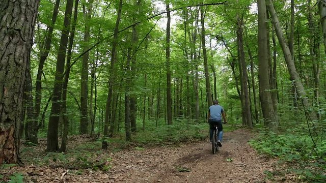 Man on bycicle rides away in forest