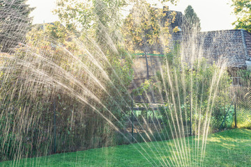 Fototapeta na wymiar Water sprinkler in the garden produces light reflections during sundown
