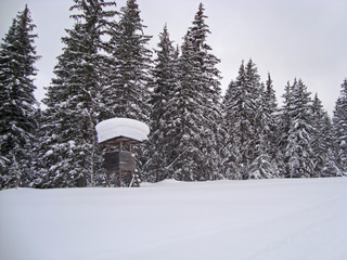 Obraz premium Austria Winter