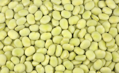 Broad beans
