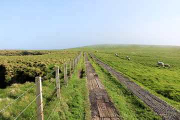 Fototapeta na wymiar Landschaft - Duncansby Head