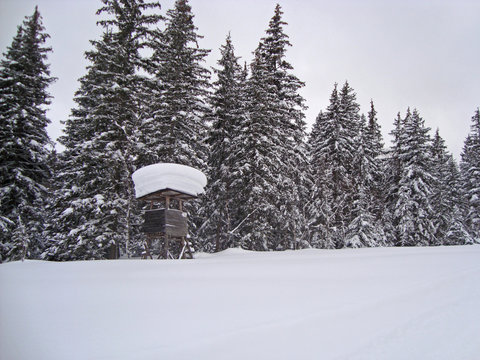 Austria Winter