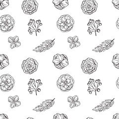Hand drawn floral seamless pattern. Black and white. Vector illustration.