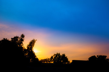silhouette of trees on a tropical area at sunset in Thailand