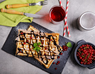 Plate of belgian waffles with chocolate sauce and currant fruit on dark gray background. From top view