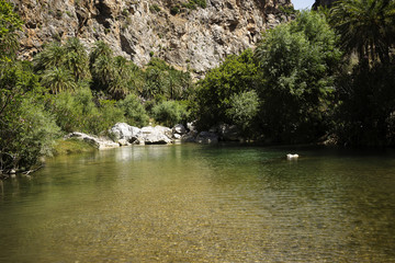 clear water in the river of Preveli