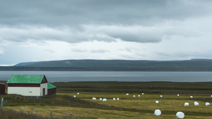Icelandic Farm