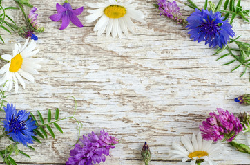 White shabby wooden background with wild flowers frame. Backdrop with copy space.