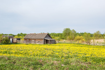Fototapeta na wymiar A shed in a vegetable garden in a summer village