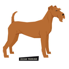 Dog collection Irish Terrier Geometric style Isolated object