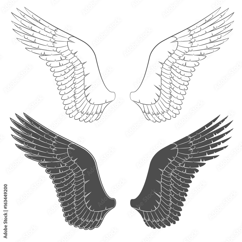 Poster set of black and white illustrations with wings. isolated vector objects on white background.