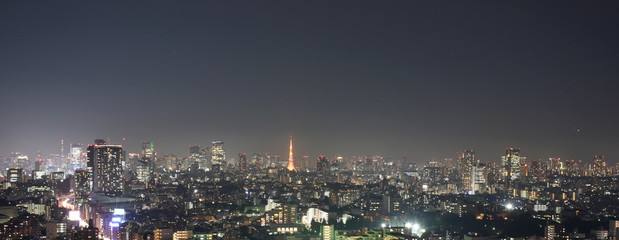 日本の東京都市風景・夜景（渋谷区、千代田区、港区などを望む）