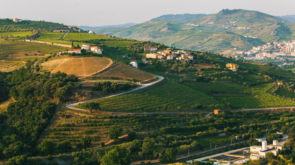 Douro Valley, Top view of the vineyards are on a hills. Portugal. .