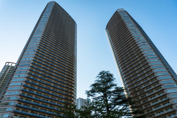 武蔵小杉のビル群２