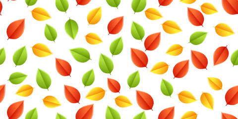 multicolored leaves autumn