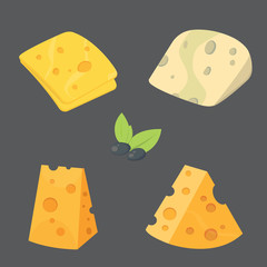 Cheese types . cartoon style vector illustration icons.
