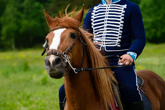 cavalryman on horseback