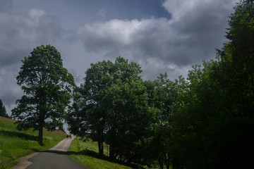 mountainslide in summer