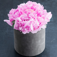 peonies in the gift box